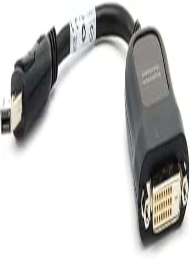 Foxconn KX 2905 Display Port Male to DVI Female Adapter Cable, 20 Centimeters -Black, DisplayPort